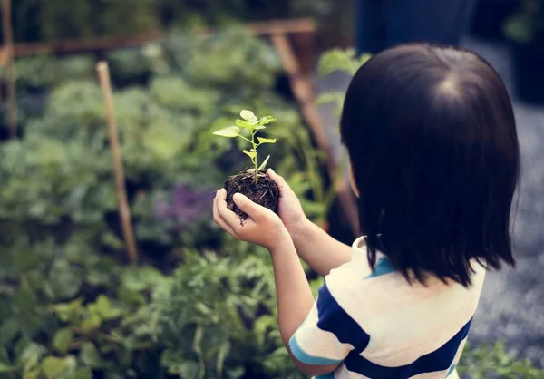 野菜を植える子 — ストック写真