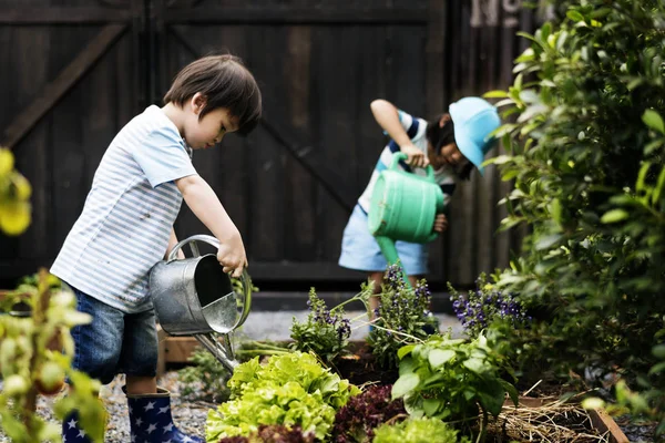 Niños regando las plantas — Foto de Stock