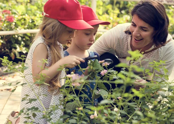 Estudiantes pequeños que aprenden botánica — Foto de Stock