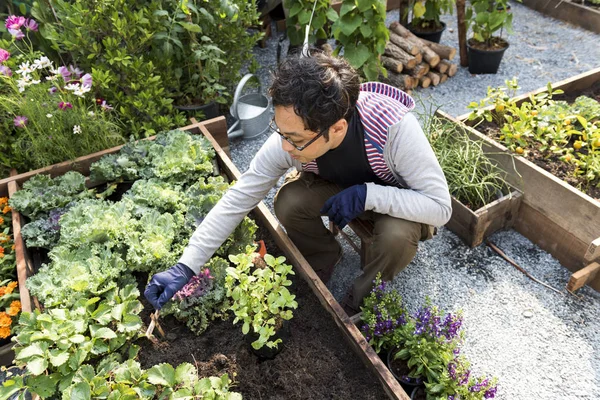 Uomo giardinaggio sul cortile — Foto Stock