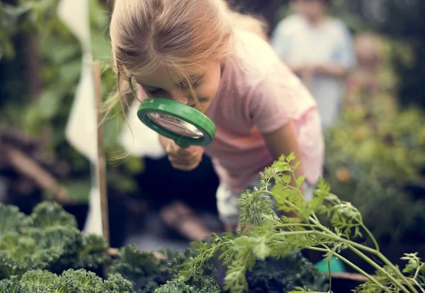 Kid in a garden experiencing nature — Stock Photo, Image