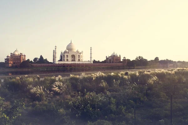 Taj mahal indiano — Foto Stock