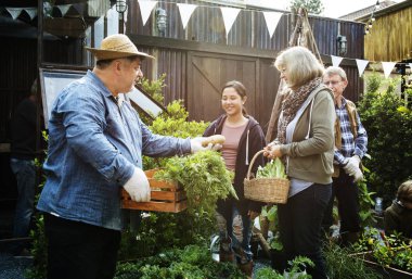 insanlar sebze dikim