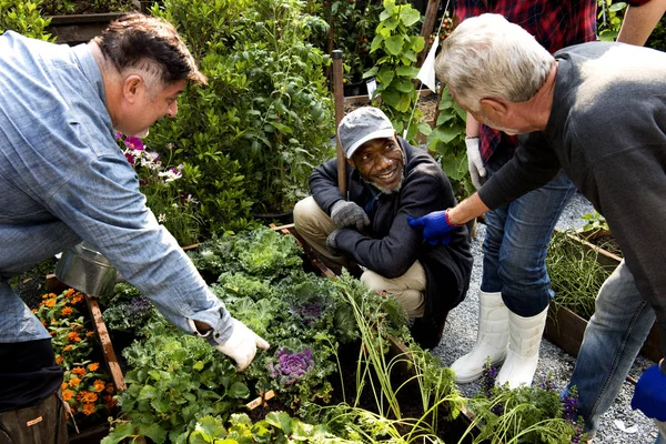 Persone giardinaggio sul cortile insieme — Foto Stock