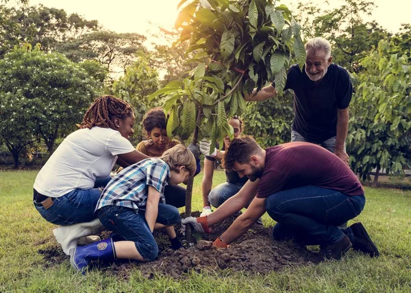 La gente pianta un albero — Foto Stock