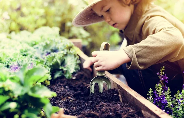 Anak berkebun di halaman belakang — Stok Foto