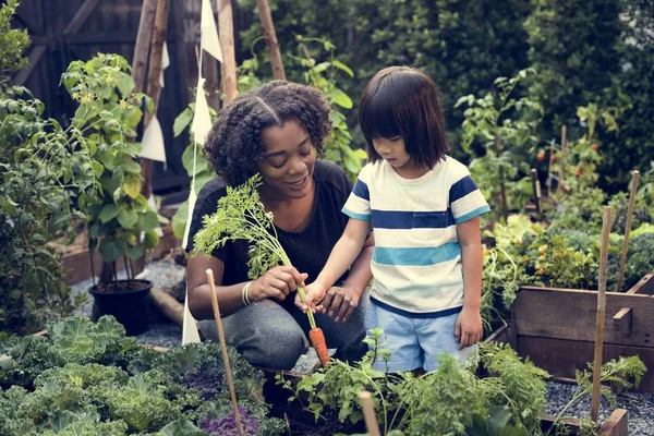 Açık Bahçe öğretmen ile çocuk — Stok fotoğraf