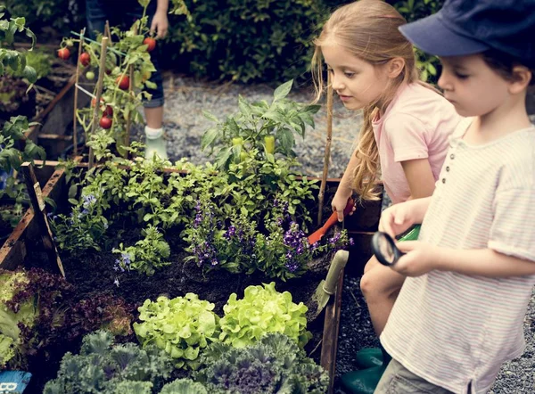 Bambini giardinaggio all'aperto — Foto Stock