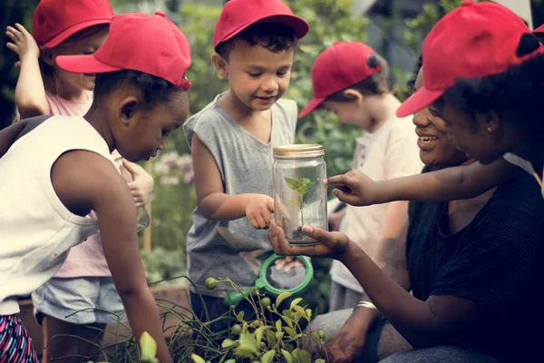 Nauczyciel i dzieci szkoły nauka ekologia ogrodnictwo — Zdjęcie stockowe