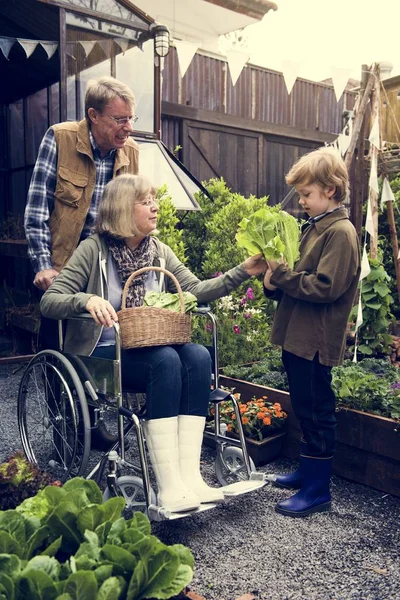 People Planting Vegetables — Stock Photo, Image