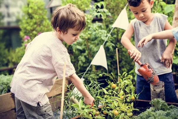 Bambini che lavorano in giardino — Foto Stock