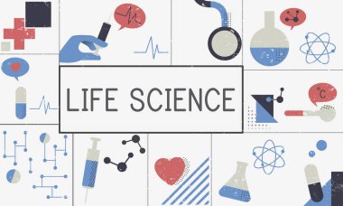 tasarım şablonu sayfa