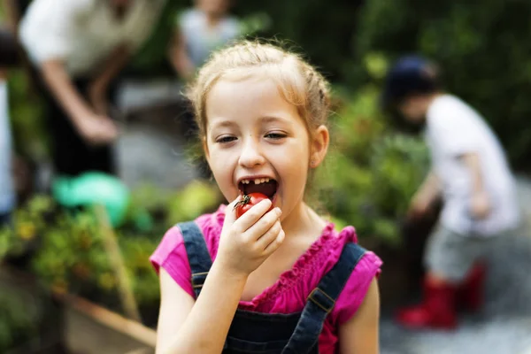 Chica comiendo tomate — Foto de Stock