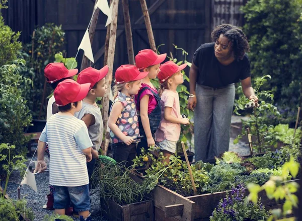 Estudiantes pequeños que aprenden botánica — Foto de Stock