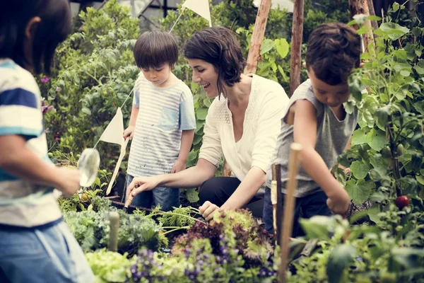 Niños con maestro plantando verduras — Foto de Stock