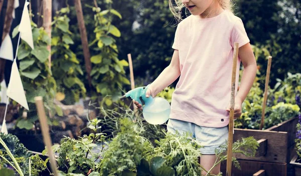 女の子は農産物に水をまく — ストック写真