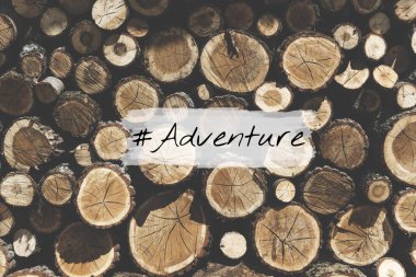 ağaç gövdeleri yığını