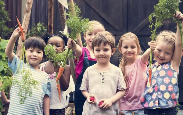  çocuklar açık havada bahçe öğrenme