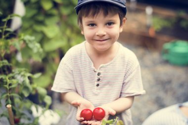 Çocuk hoding domates