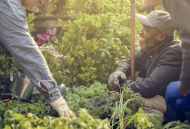  insanlar birlikte üzerinde arka bahçe