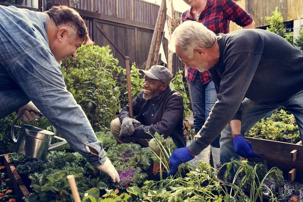 Gente jardinería en el patio trasero juntos — Foto de Stock