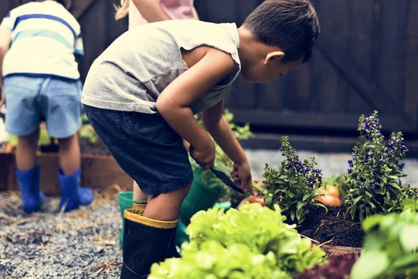 Dla dzieci w ogrodzie, obcowanie z naturą — Zdjęcie stockowe
