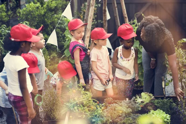 Estudiantes pequeños que aprenden botánica — Foto de Stock