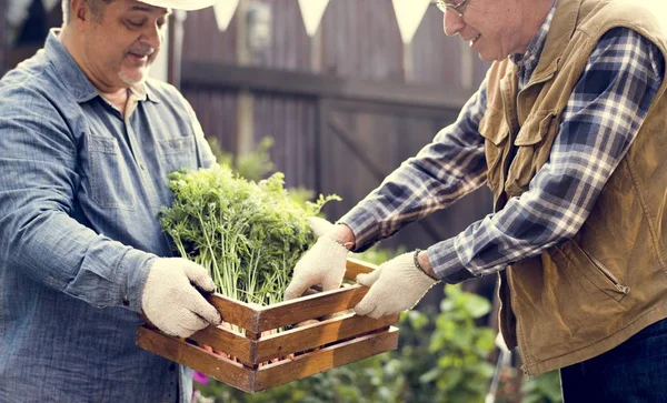 Farmer with organic nature product