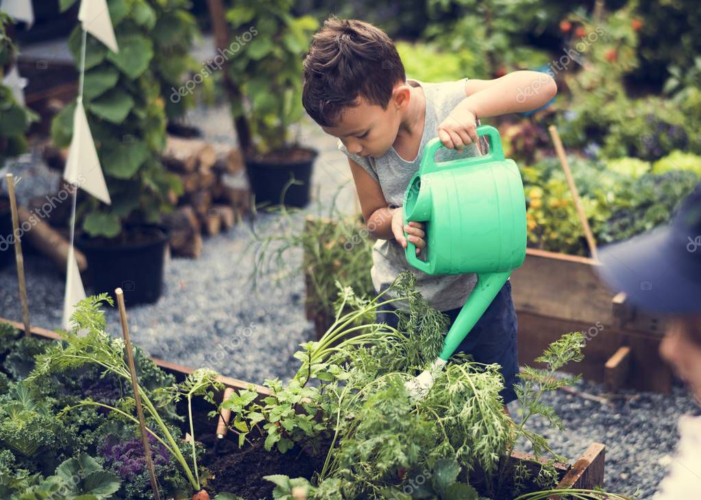Fotos: niños sembrando plantas | Niños regando las plantas — Foto de