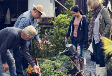 insanlar sebze dikim 