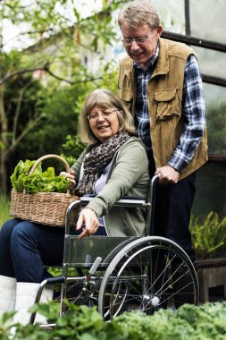 Çift üzerinde arka bahçe 