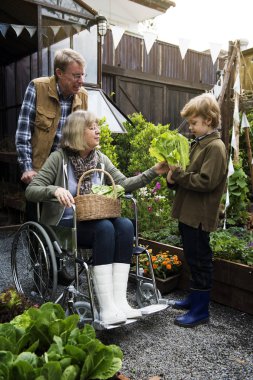 insanlar sebze dikim