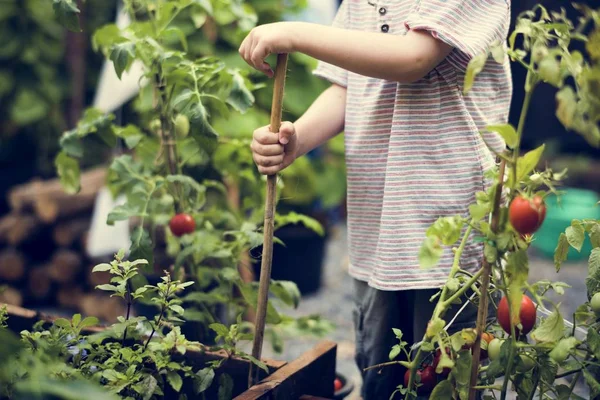 Criança em um jardim experimentando a natureza — Fotografia de Stock
