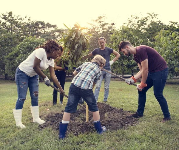 Pessoas cavando buraco plantando árvore — Fotografia de Stock
