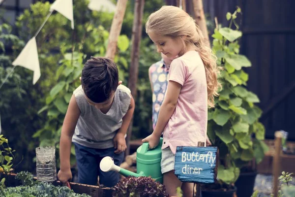 Niños aprendiendo jardinería al aire libre — Foto de Stock