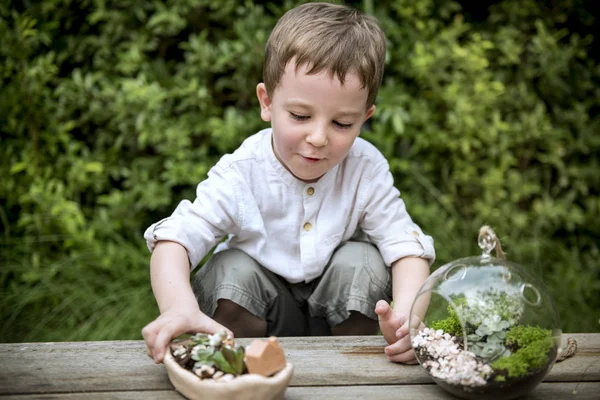 Garçon jouer avec la terre et les plantes — Photo