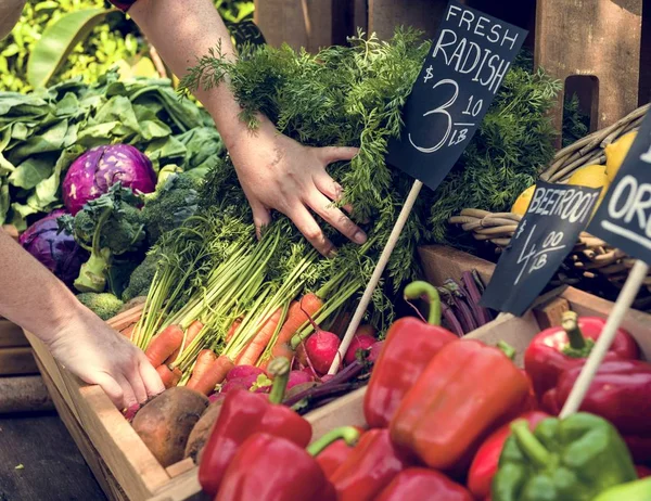 Greengrocer готовит продукты на рынке — стоковое фото