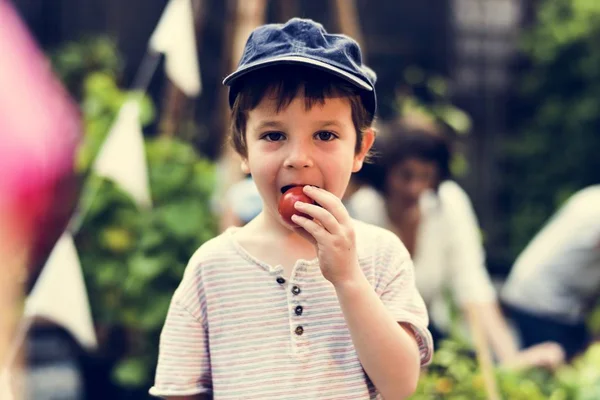 Niño comiendo tomate — Foto de Stock