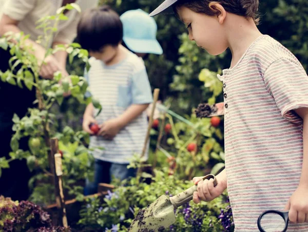 Anak-anak yang bekerja di kebun — Stok Foto