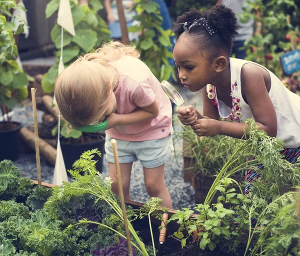 Kinder benutzen Lupen — Stockfoto