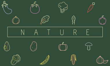 tasarım şablonu sayfa