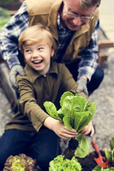 Kis fiú kezében tartja a friss zöldség — Stock Fotó