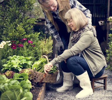Çift üzerinde arka bahçe 