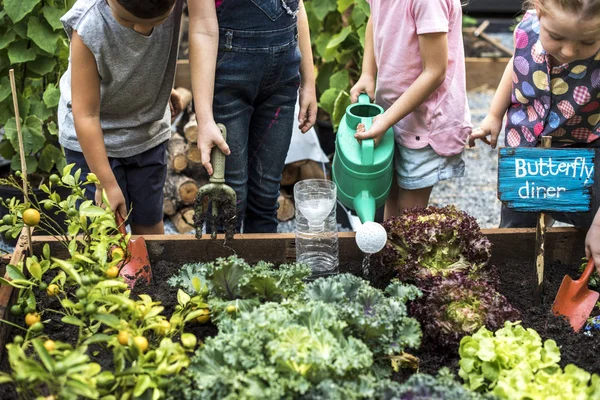 Kinder gießen die Pflanzen — Stockfoto