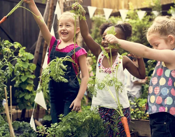Bambini che imparano l'ambiente alla fattoria di verdure — Foto Stock