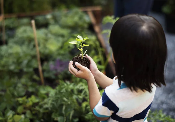 Anak-anak menanam sayuran — Stok Foto