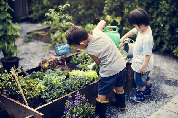 Anak-anak belajar berkebun di luar — Stok Foto