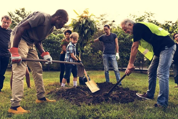 Pessoas cavando buraco plantando árvore — Fotografia de Stock