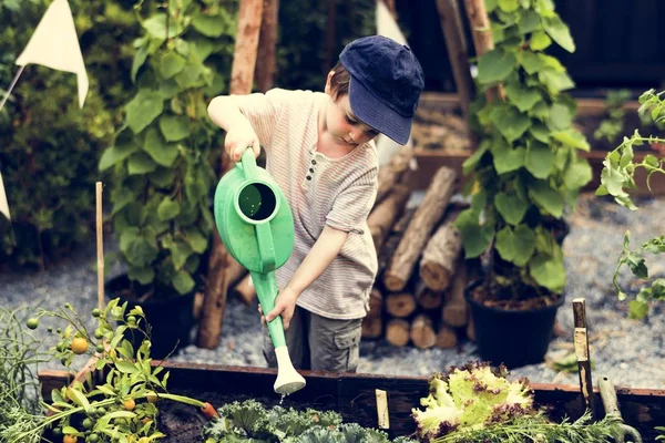 Barn vattna växterna — Stockfoto