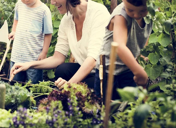 Niños en un jardín experimentando la naturaleza — Foto de Stock